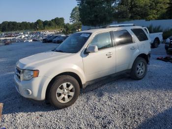  Salvage Ford Escape