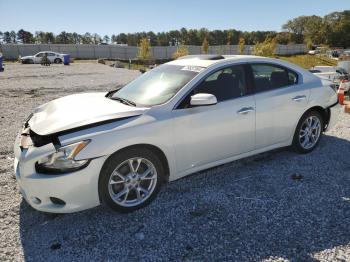  Salvage Nissan Maxima