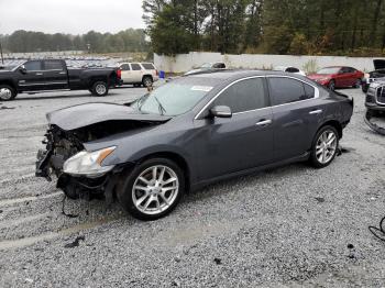  Salvage Nissan Maxima