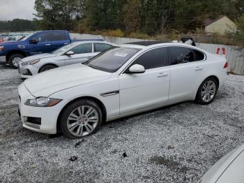  Salvage Jaguar XF