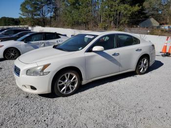  Salvage Nissan Maxima