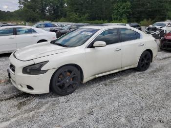 Salvage Nissan Maxima