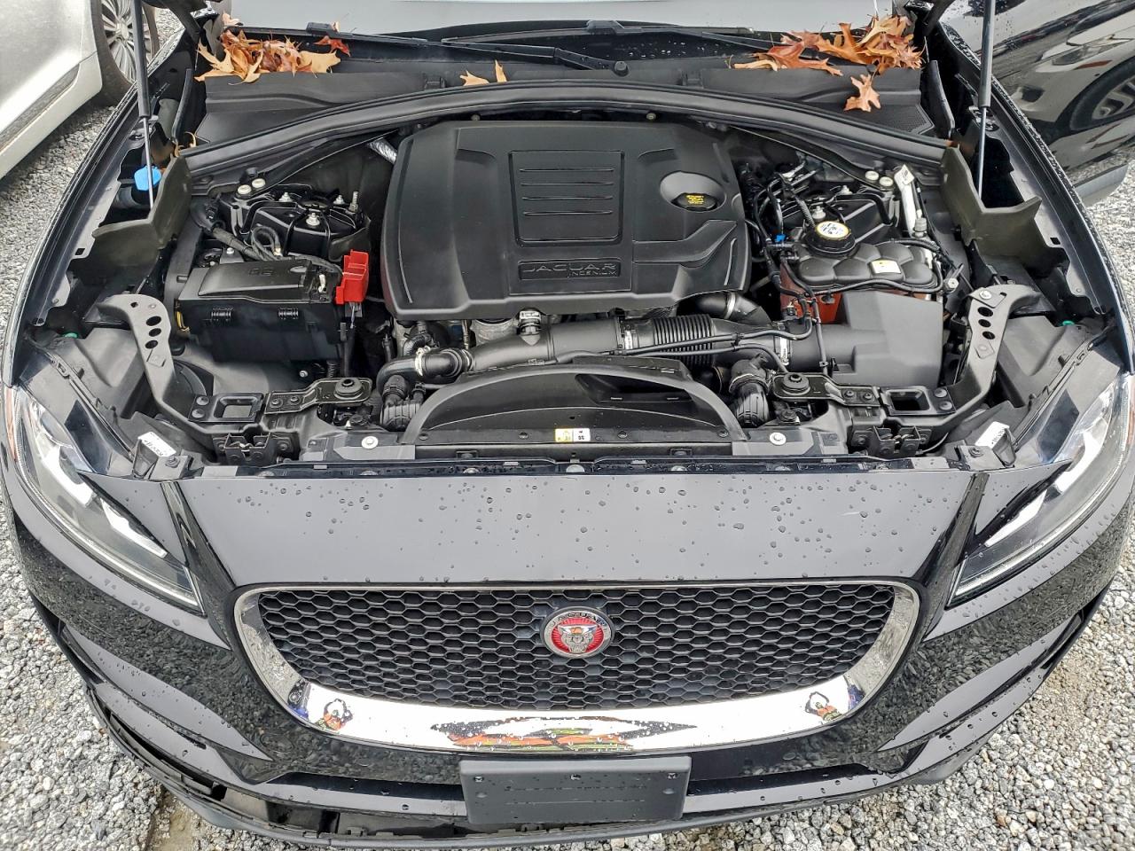 Jaguar F-PACE Prestige Image 13