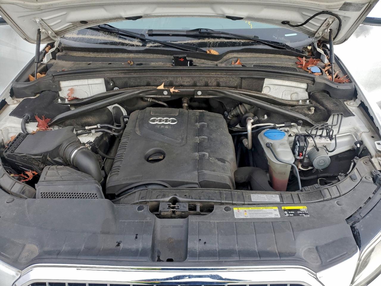 Audi Q5 Premium Plus Image 13