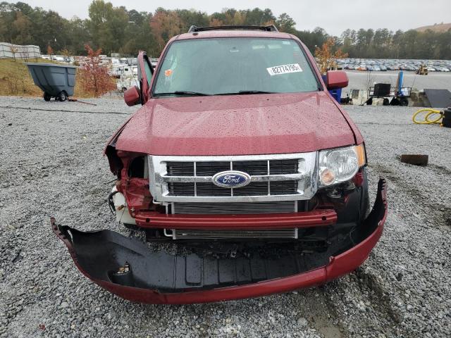 Ford Escape Limited Image 13