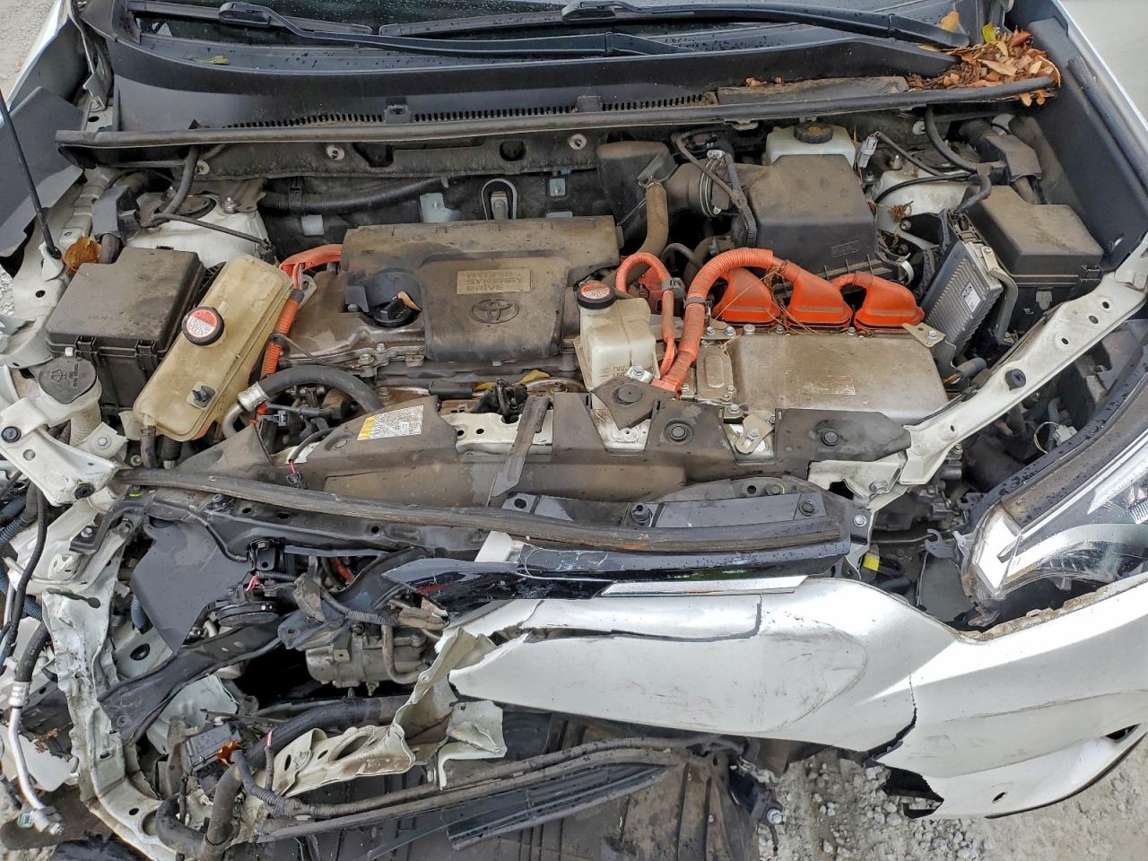 Toyota RAV4 Limited Image 13