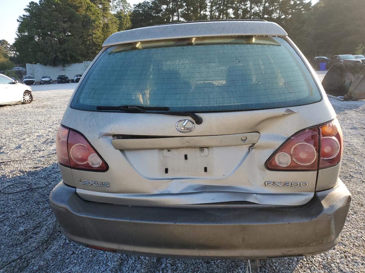 Lexus RX 300 Image 10