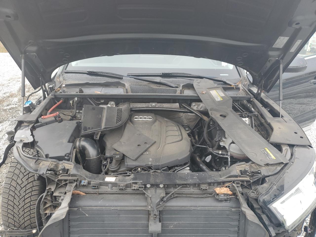 Audi Q5 Premium Plus Image 13