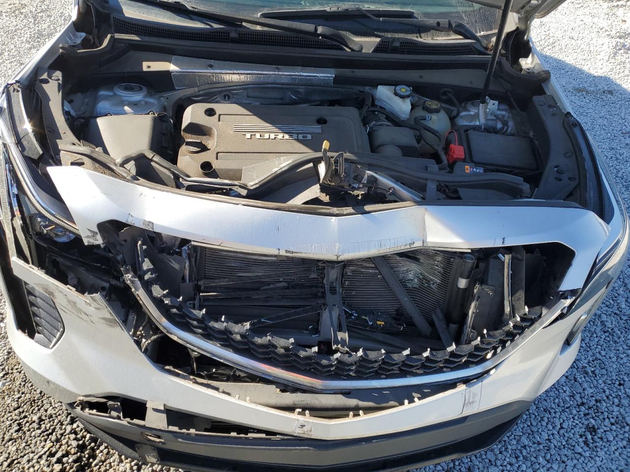 Cadillac XT4 Sport Image 7