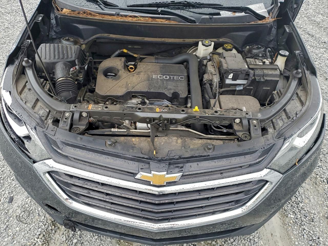 Chevrolet Equinox Lt Image 7