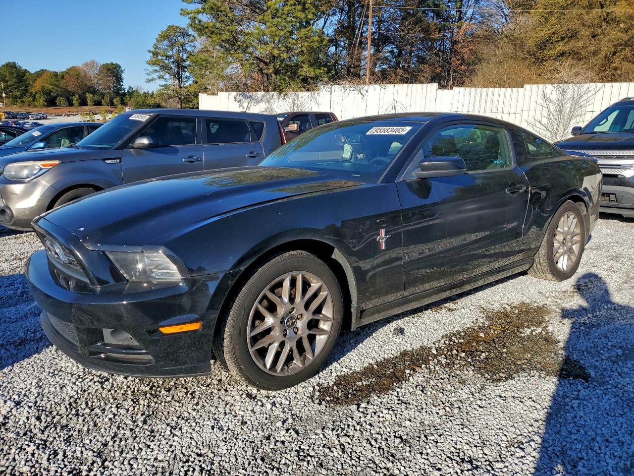 Ford Mustang Image 1