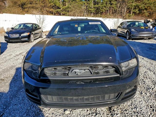 Ford Mustang Image 3