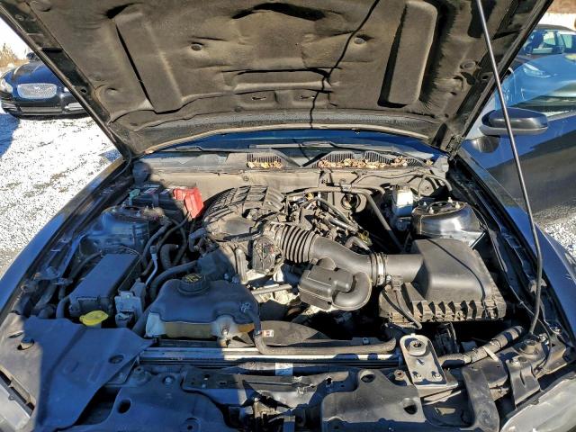 Ford Mustang Image 7