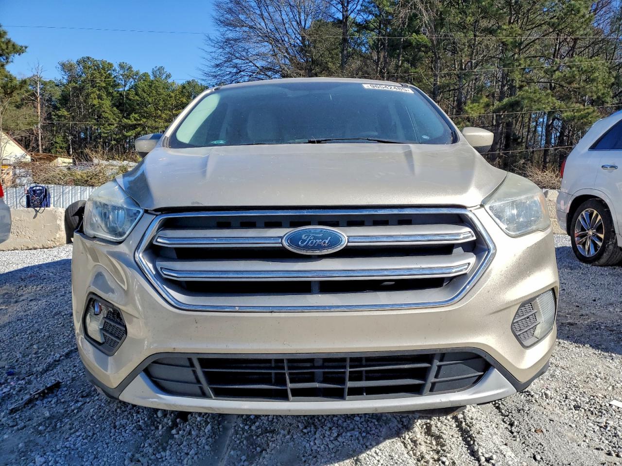 Ford Escape Se Image 10