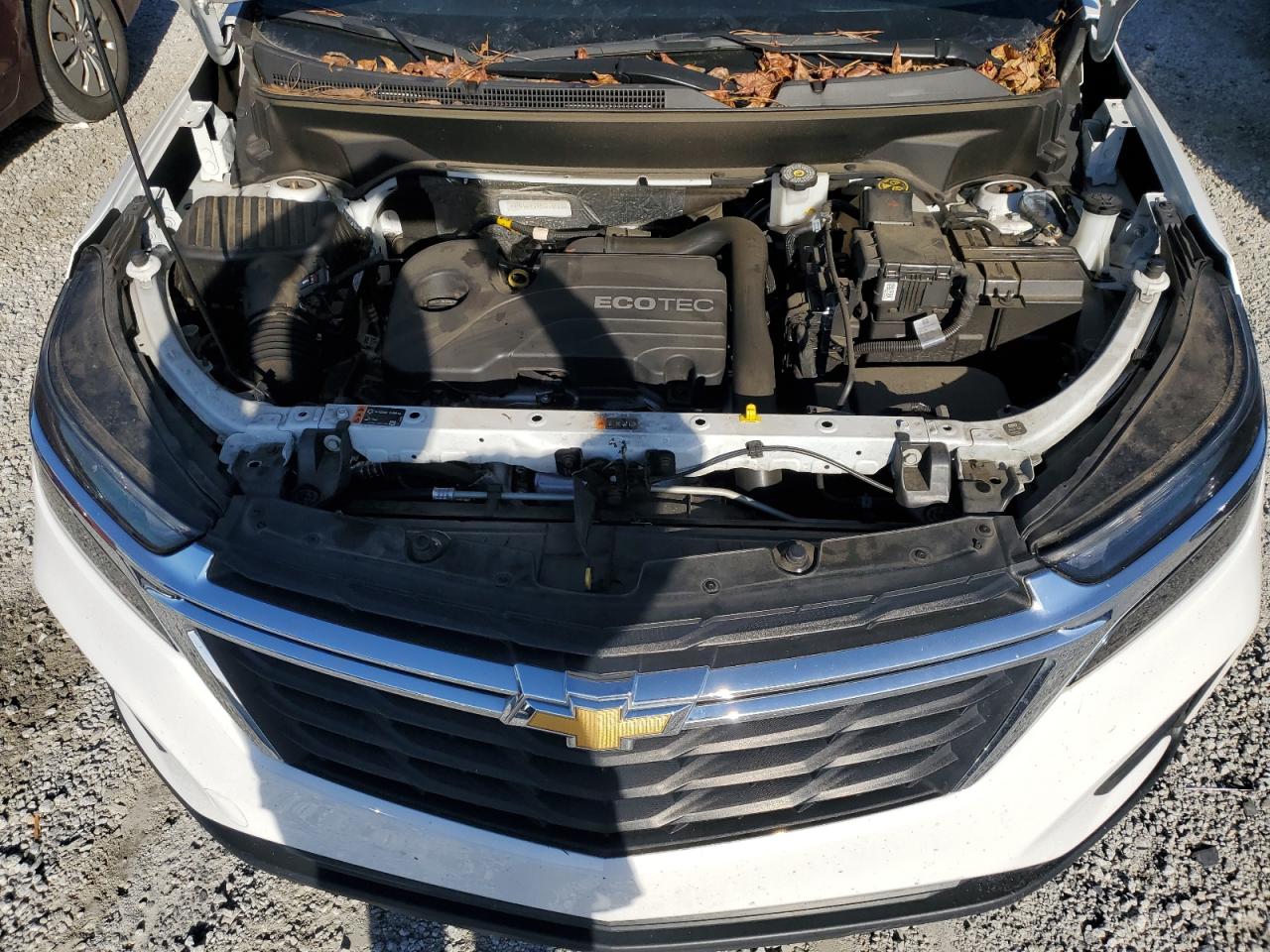 Chevrolet Equinox Ls Image 11